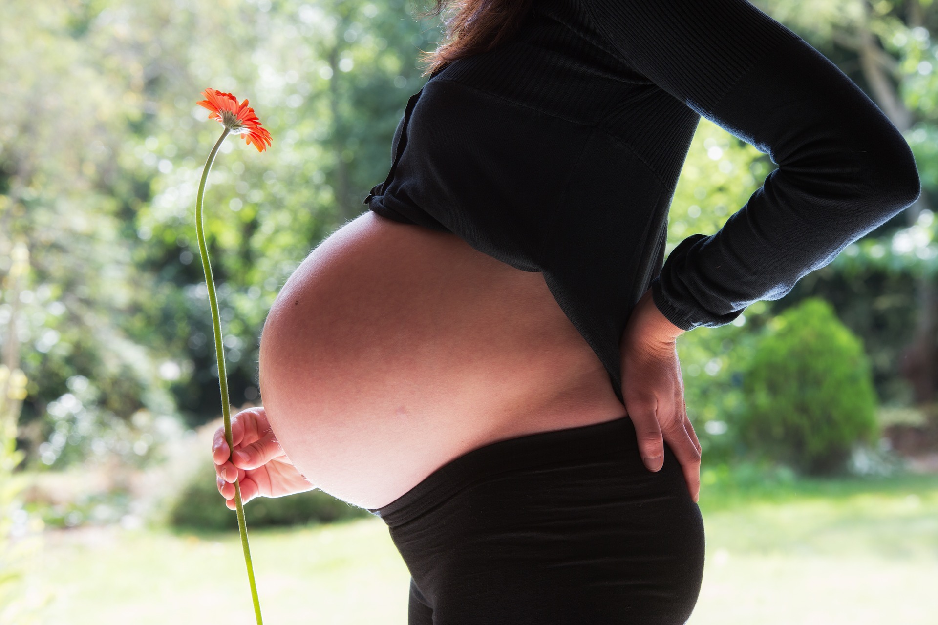 11 tydzień ciąży,dziecko, przyszła mama,kwiat,widoczny brzuszek,licencja CC-BY-SA-4