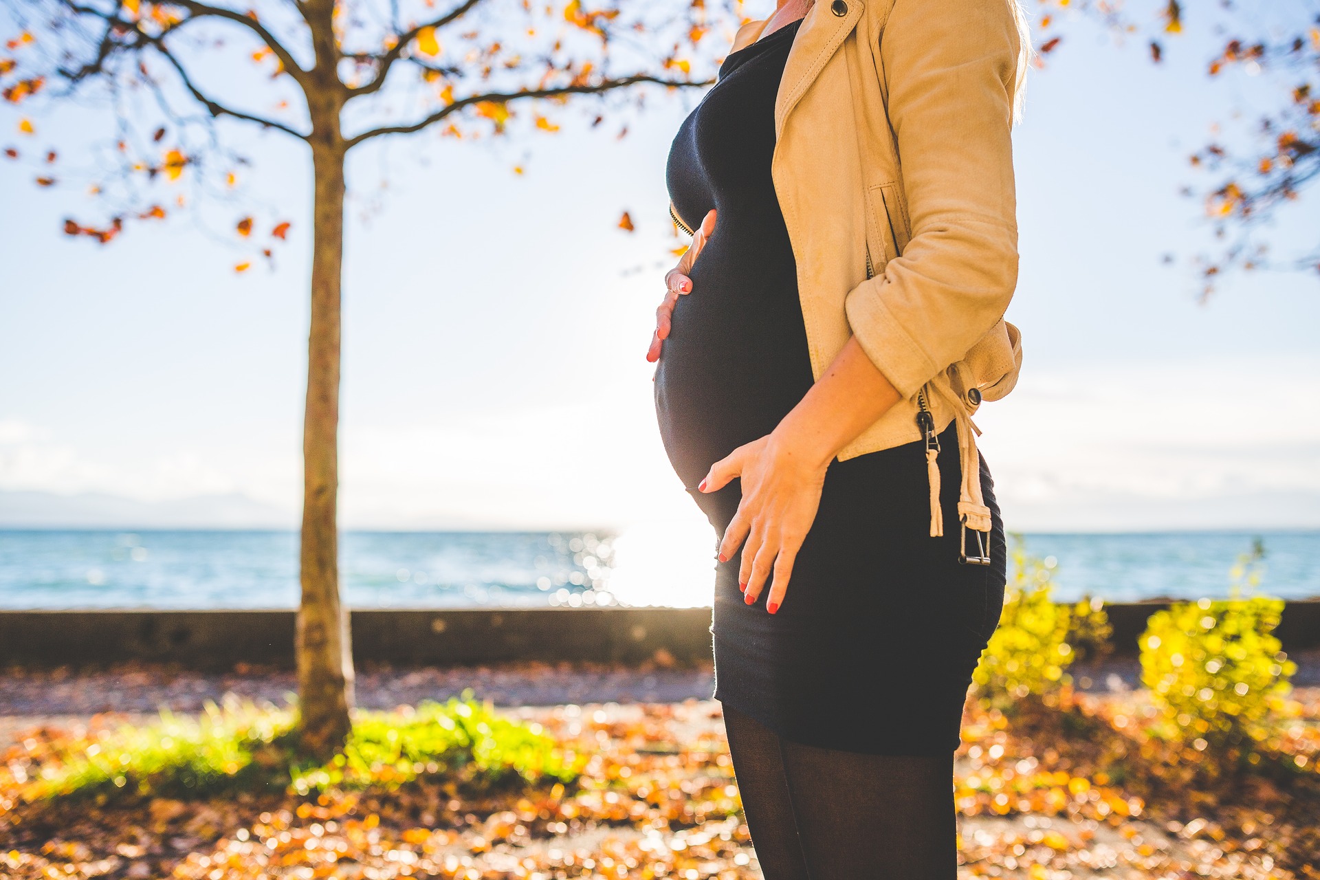 3 tydzień ciąży, planowanie ciąży, ciąża i poród, natura mama z brzuszkiem licencja CC-BY-SA-4