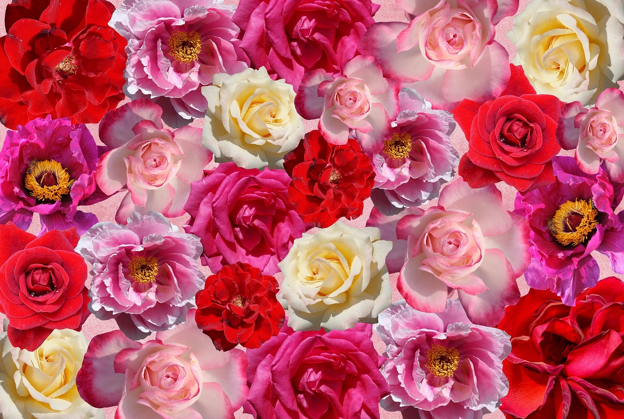 Kwiaty na  Walentynki – bukiet, pojedynczy kwiat czy flower-box