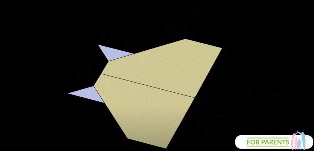 Manta Ray Płaszczka Samolot z papieru 12