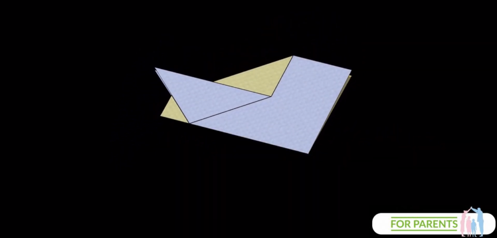 Manta Ray Płaszczka Samolot z papieru 13