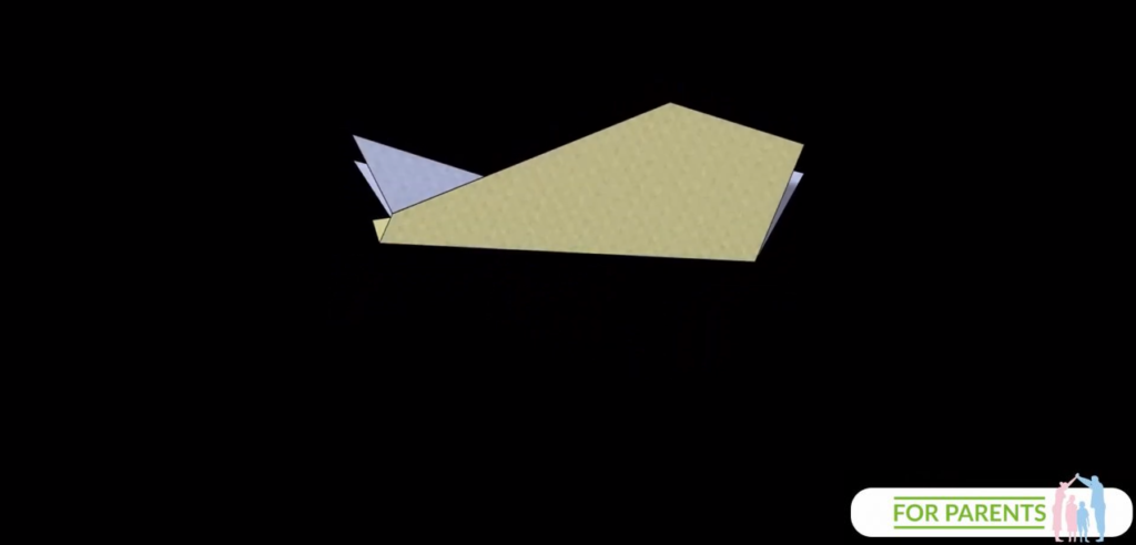 Manta Ray Płaszczka Samolot z papieru 15