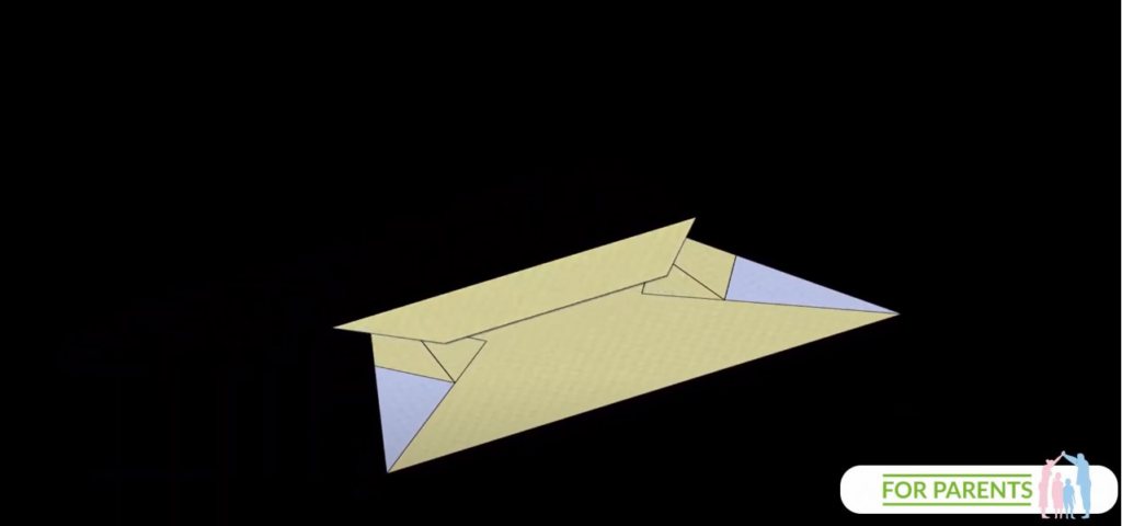 redwood sekwoja samolot z papieru 30