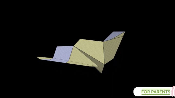 Jak zrobić samolot z papieru? Trout – Pstrąg