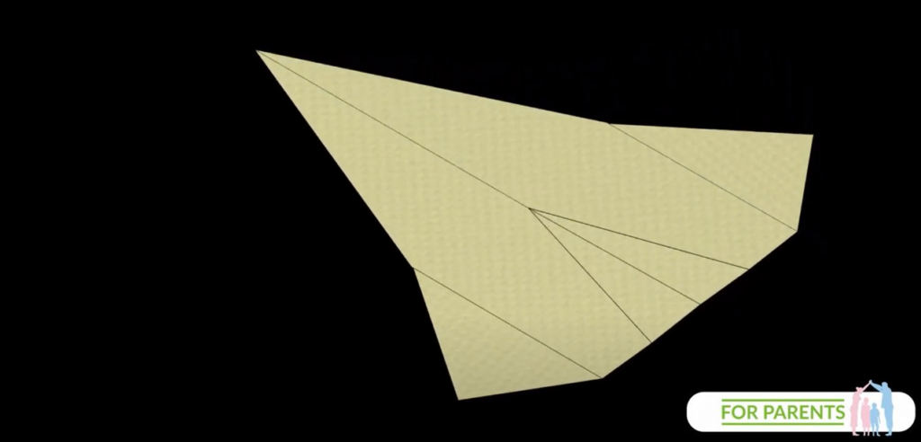 bootlenose delfin butlonosy samolot z papieru 10