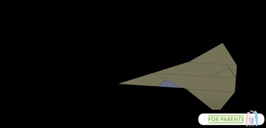 bootlenose delfin butlonosy samolot z papieru 14