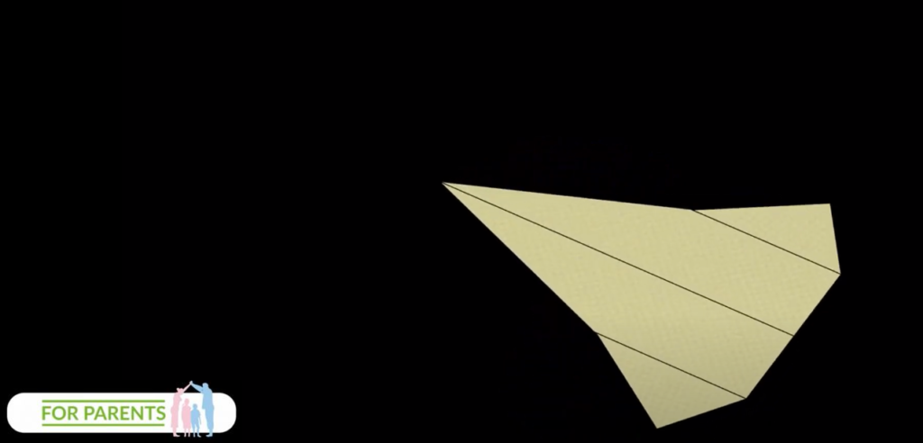 bootlenose delfin butlonosy samolot z papieru 7